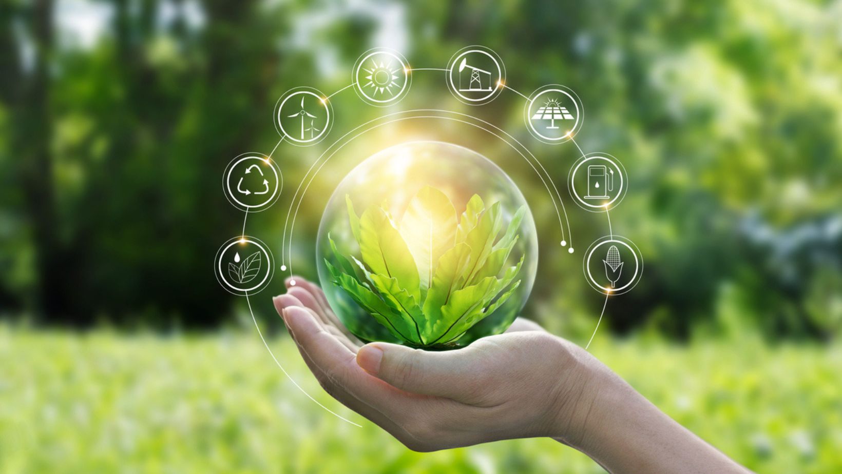 Environmental Health